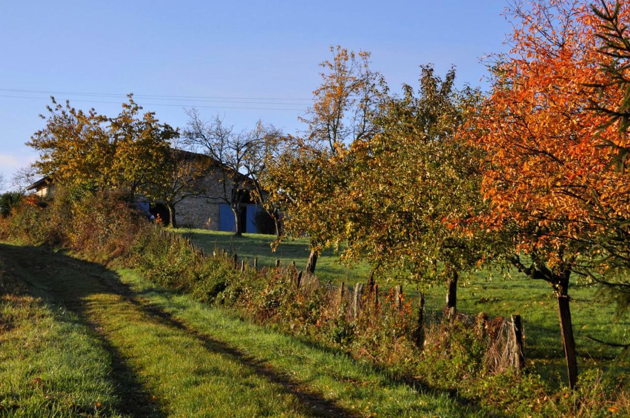 Bed and Breakfast Terres de la Grange Cuisiat Exterior foto